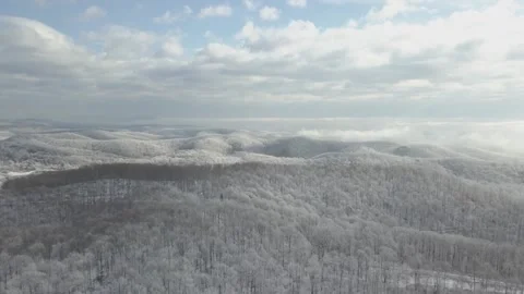 Winter morning forest Video stock 313384683