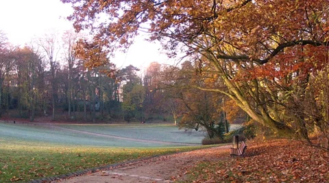 Winter morning in the park. Stock Footage 34386494