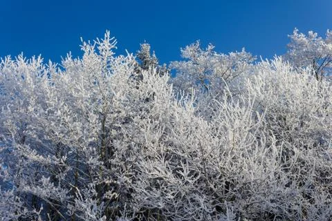 Winter morning Stock Photos