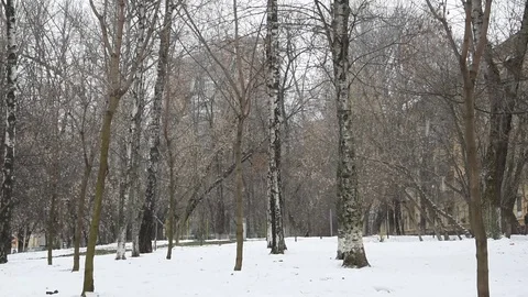 Winter in Moscow Stock Footage 70098159