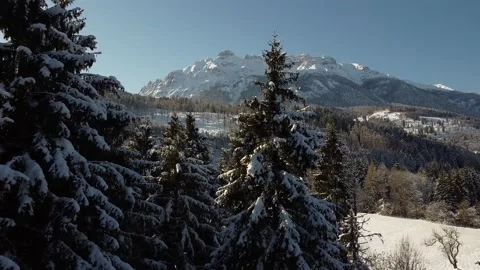 Winter mountain and trees Video stock 146265010