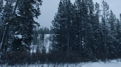 Winter Mountain Creak 스톡 동영상 61018803