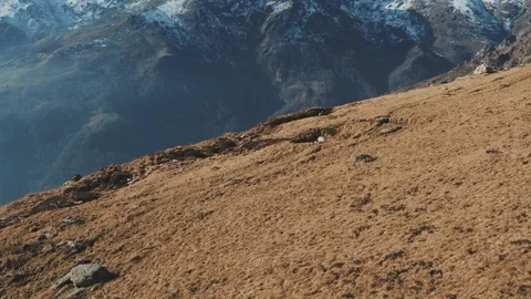 Winter mountain fly over with drone, linear fly, 4k pro res Stock Footage 100473058