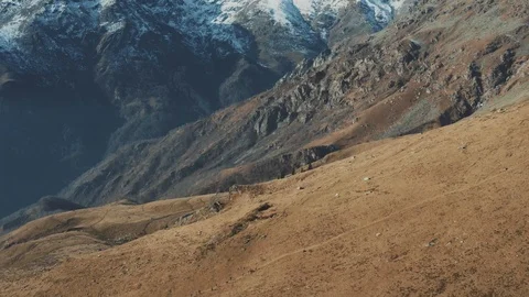 Winter mountain fly over with drone, linear fly, 4k pro res Video stock 100473091