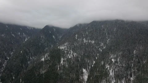Winter mountain forest aerial view. Flight above beautiful snowy mountains Stock Footage 171074194