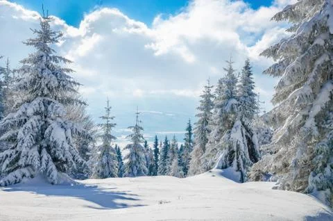 Winter mountain on forest  and cloudy sky, Poland Stock Photos