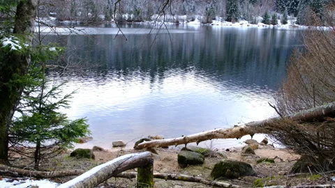 Winter mountain forest covered with snow on the bank of the lake Stock Footage 266667541