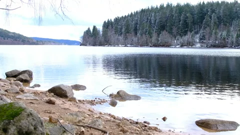 Winter mountain forest covered with snow on the bank of the lake Stock Footage 266670156