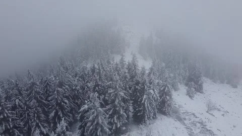 Winter Mountain Forest Covered in Snow and Fog – Aerial View Stock Footage 324476840