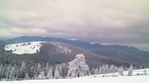 The Winter Mountain Forest Видео 86493266