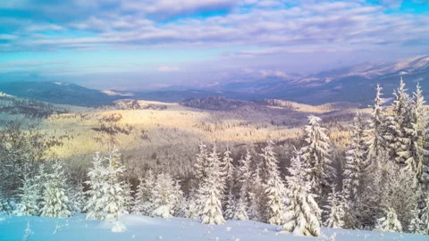 The Winter Mountain Forest Stock Footage 92705204