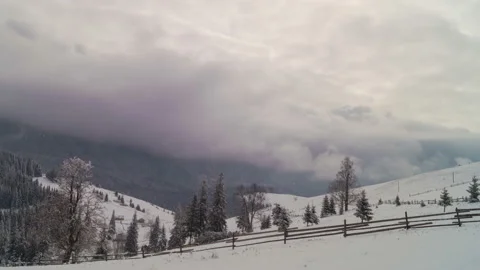 The Winter Mountain Forest Stock Footage 93912716