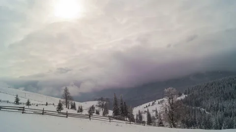 The Winter Mountain Forest Видео 94972532