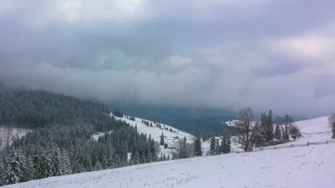 The Winter Mountain Forest Video stock 95692409