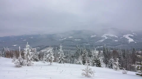 The Winter Mountain Forest Vídeos de archivo 98226472