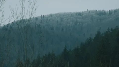 Winter Mountain Forest with Hoarfrost, Misty Coniferous Trees under Gray Sky Stock Footage 329068364