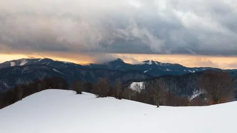 Winter mountain forest Stock Photos