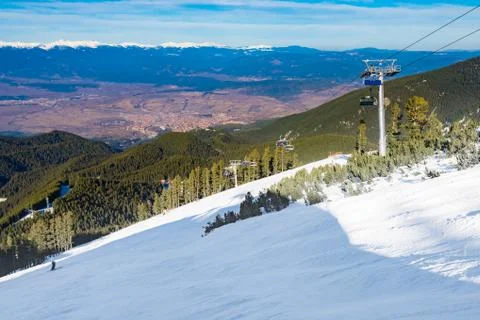 Winter mountain forest Fotos Stock