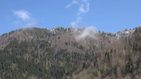 Winter mountain forest ridge with first snow and forming clouds under clear blue Video stock 339486751