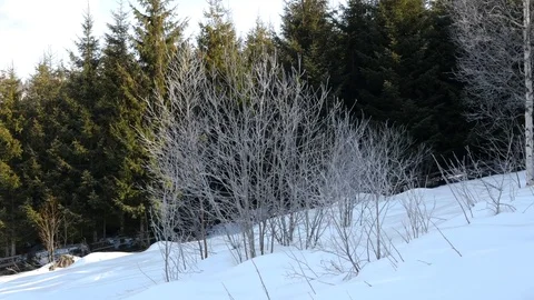 Winter in mountain, horizontal panning. Stock Footage 73293083