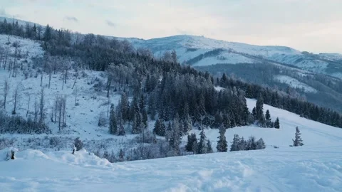 Winter Mountain Landscape and Forest Cut Down Stock Footage 147050682