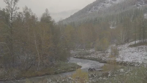 Winter mountain landscape during snowfall. Mountains river brook and trees Stock Footage 85546934