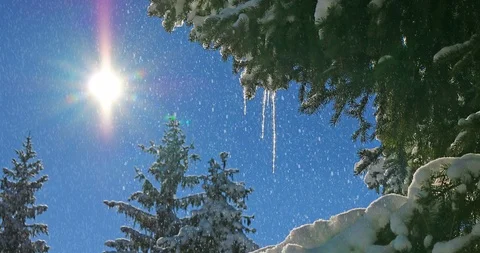 Winter mountain landscape Stock Footage 95547530