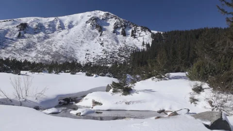Winter mountain landscape Stock Footage 100727876