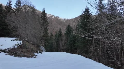 A winter mountain landscape in a forest. Stock Footage 317629644