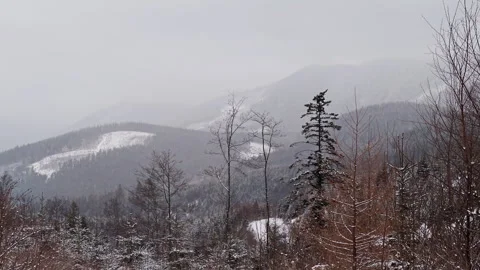 Winter Mountain Landscape With Partially Deforested Slopes In Mist Video stock 336496049