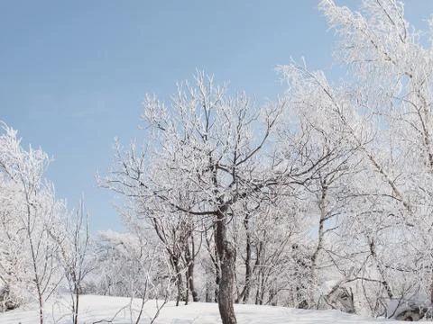 Winter mountain landscape Foto stock