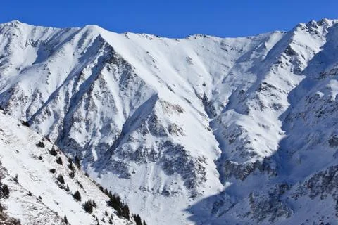 Winter mountain landscape Stock Photos