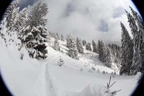 Winter mountain landscape Stock Photos