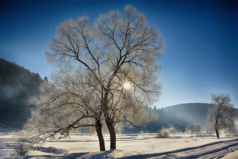 Winter mountain landscape Stock Photos