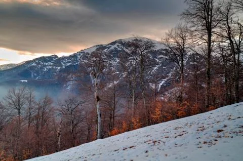 Winter mountain landscape Stock Photos