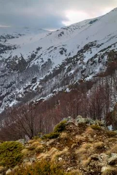 Winter mountain landscape Stock Photos