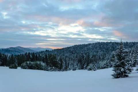 Winter mountain landscape Stock Photos