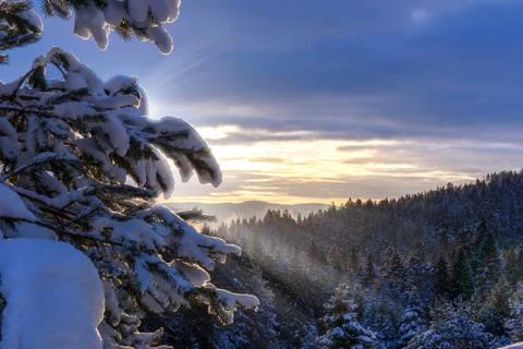 Winter mountain landscape Stock Photos