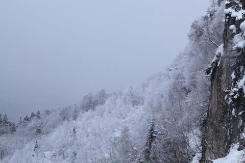 Winter mountain landscape Stock Photos