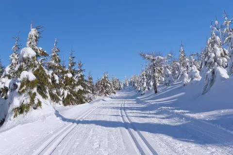 Winter mountain landscape Stock Photos