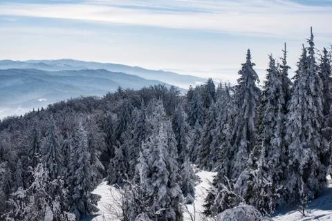 Winter mountain landscape Stock Photos