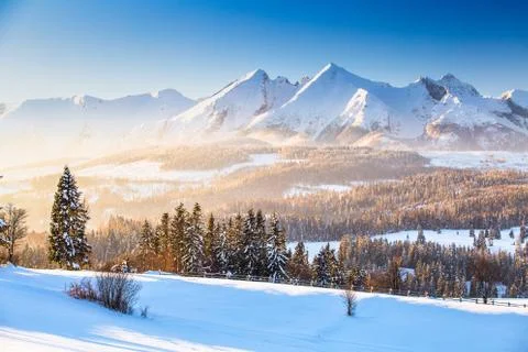 Winter mountain landscape Stock Photos