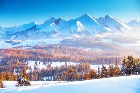 Winter mountain landscape Foto stock