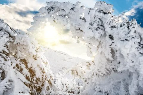 Winter mountain landscape Stock Photos