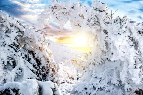 Winter mountain landscape Stock Photos