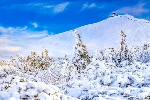 Winter mountain landscape Stock Photos