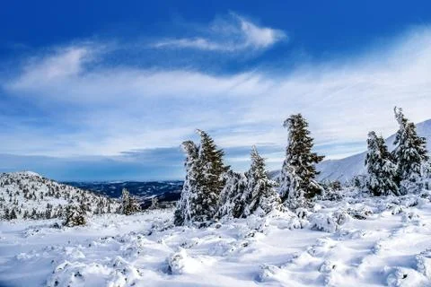 Winter mountain landscape Stock Photos
