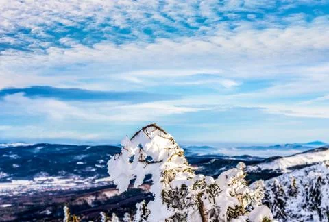 Winter mountain landscape Stock Photos
