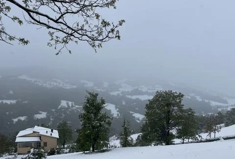 Winter mountain landscape Stock Photos