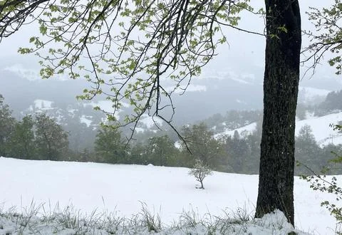 Winter mountain landscape Fotos Stock
